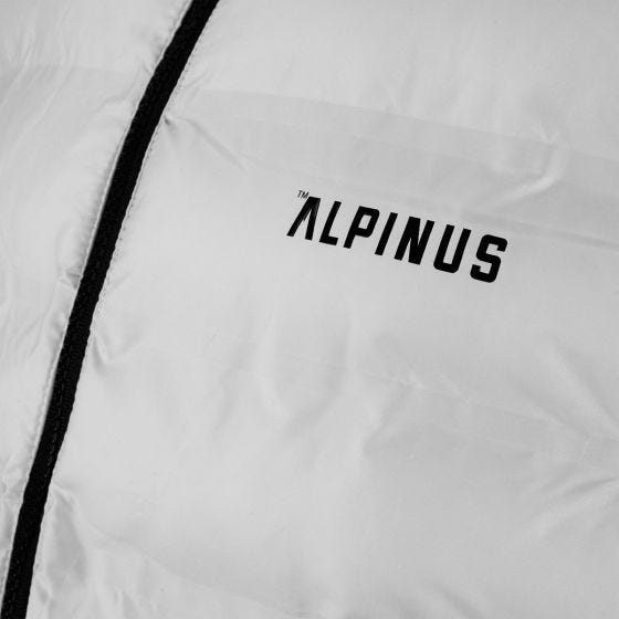 Chaqueta hombre Alpinus Active Nordend - Gris