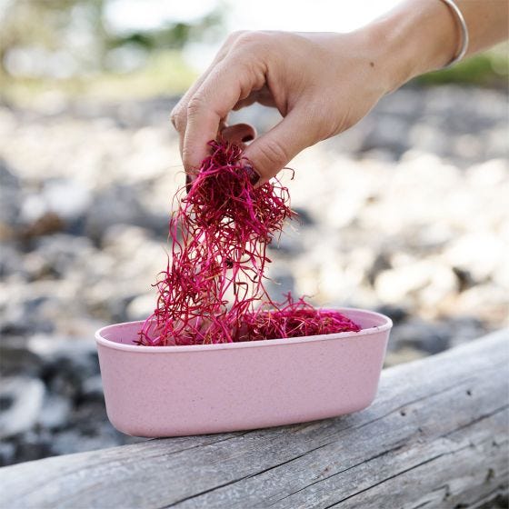 Caja de almuerzo Light My Fire SnapBox Oval Bio 2 paquetes - Sandy Green/Dusty Pink