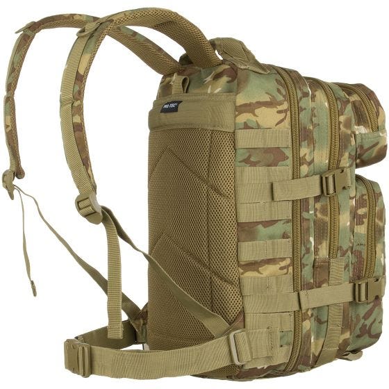 Mochila de asalto con sistema MOLLE Mil-Tec US de tamaño pequeño en Arid Woodland