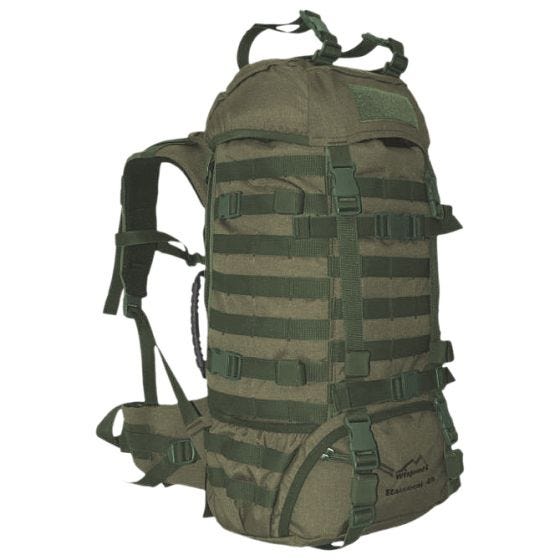 Mochila Wisport Raccoon 45 l en RAL 7013